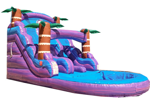 15′ Purple Hurricane Dual Lane