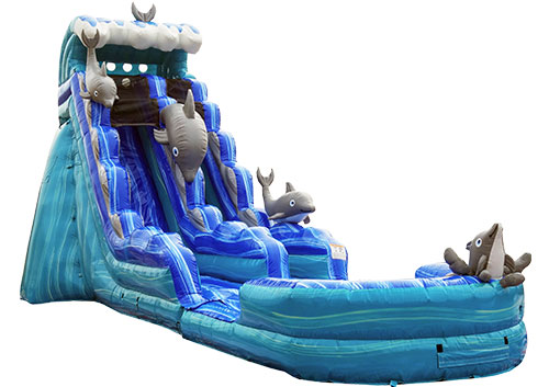 19′ Dolphin Dive