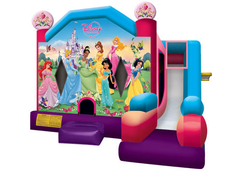 Disney Princess 7 in 1