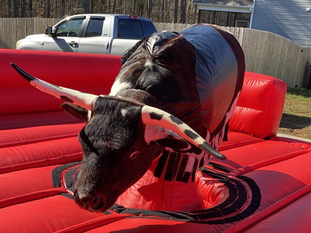 Mechanical Bulls