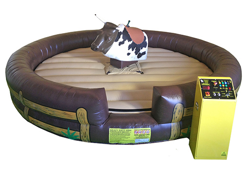 Mechanical Bull